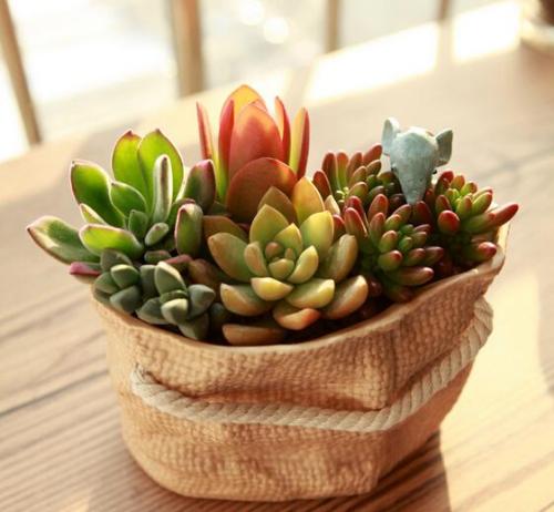 Ò»Öܲƾ:Õ®È¯Í¨ÏÆ¿ªÃæÉ´ Öйú½ðÈÚ¿ª·ÅÔÙÏÂÒ»³Ç