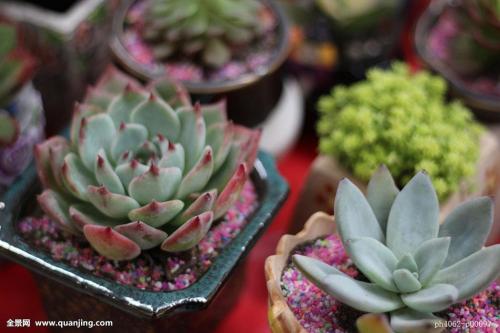 ºÓÄÏ£ºÏû·ÑÕß¹ºÂò½ø¿ÚÀäÁ´Ê³Æ·ÊµÐÐʵÃûÖÆ