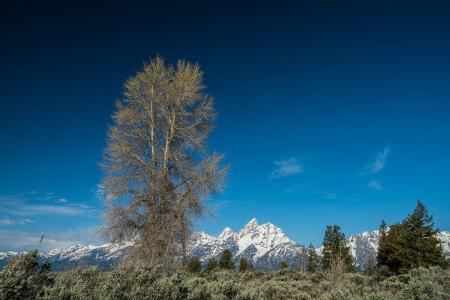 ⽻й߶¹簲ȫԺЧԡ